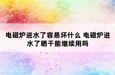 电磁炉进水了容易坏什么 电磁炉进水了晒干能继续用吗